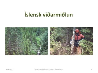 Eiríkur þorsteinsson 28.04.11 Slide 19