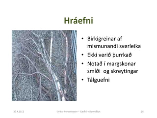 Eiríkur þorsteinsson 28.04.11 Slide 26