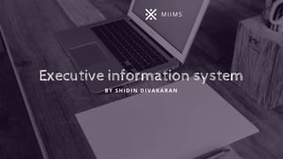 Executive Infomation System