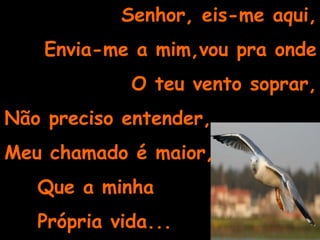 Senhor, eis-me aqui,Envia-me a mim,vou pra onde O teu vento soprar,Não preciso entender,Meu chamado é maior,    Que a minha     Própria vida...