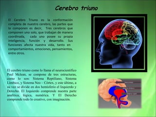 Cerebro triuno
El Cerebro Triuno es la conformación
completa de nuestro cerebro, las partes que
lo componen es decir, Tres cerebros que
componen uno solo, que trabajan de manera
coordinada, cada uno posee su propia
inteligencia, función y desarrollo. Sus
funciones afecta nuestra vida, tanto en
comportamientos, emociones, pensamientos,
entre otros.

El cerebro triuno como lo llama el neurocientifico
Paul Mclean, se compone de tres estructuras,
como lo son: Sistema Reptiliano, Sistema
Límbico, y Sistema Neo – Córtex, y este último, a
su vez se divide en dos hemisferio el Izquierdo y
Derecho. El Izquierdo comprende nuestra parte
analítica, lógica, numérica. Y El Derecho
comprende todo lo creativo, con imaginación.

 