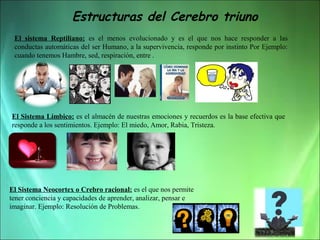 Estructuras del Cerebro triuno
El sistema Reptiliano: es el menos evolucionado y es el que nos hace responder a las
conductas automáticas del ser Humano, a la supervivencia, responde por instinto Por Ejemplo:
cuando tenemos Hambre, sed, respiración, entre .

El Sistema Límbico: es el almacén de nuestras emociones y recuerdos es la base efectiva que
responde a los sentimientos. Ejemplo: El miedo, Amor, Rabia, Tristeza.

El Sistema Neocortex o Crebro racional: es el que nos permite
tener conciencia y capacidades de aprender, analizar, pensar e
imaginar. Ejemplo: Resolución de Problemas.

 