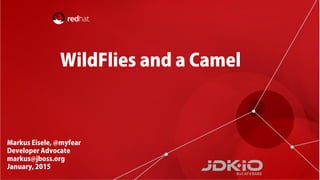 camel.apache.org/eip
 