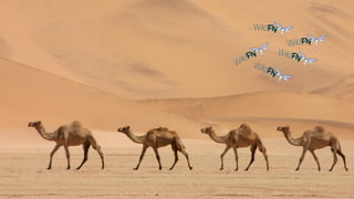 from newOrder
choice
 