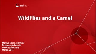 Wild Flies and a Camel - Chicago JUG - 03/15