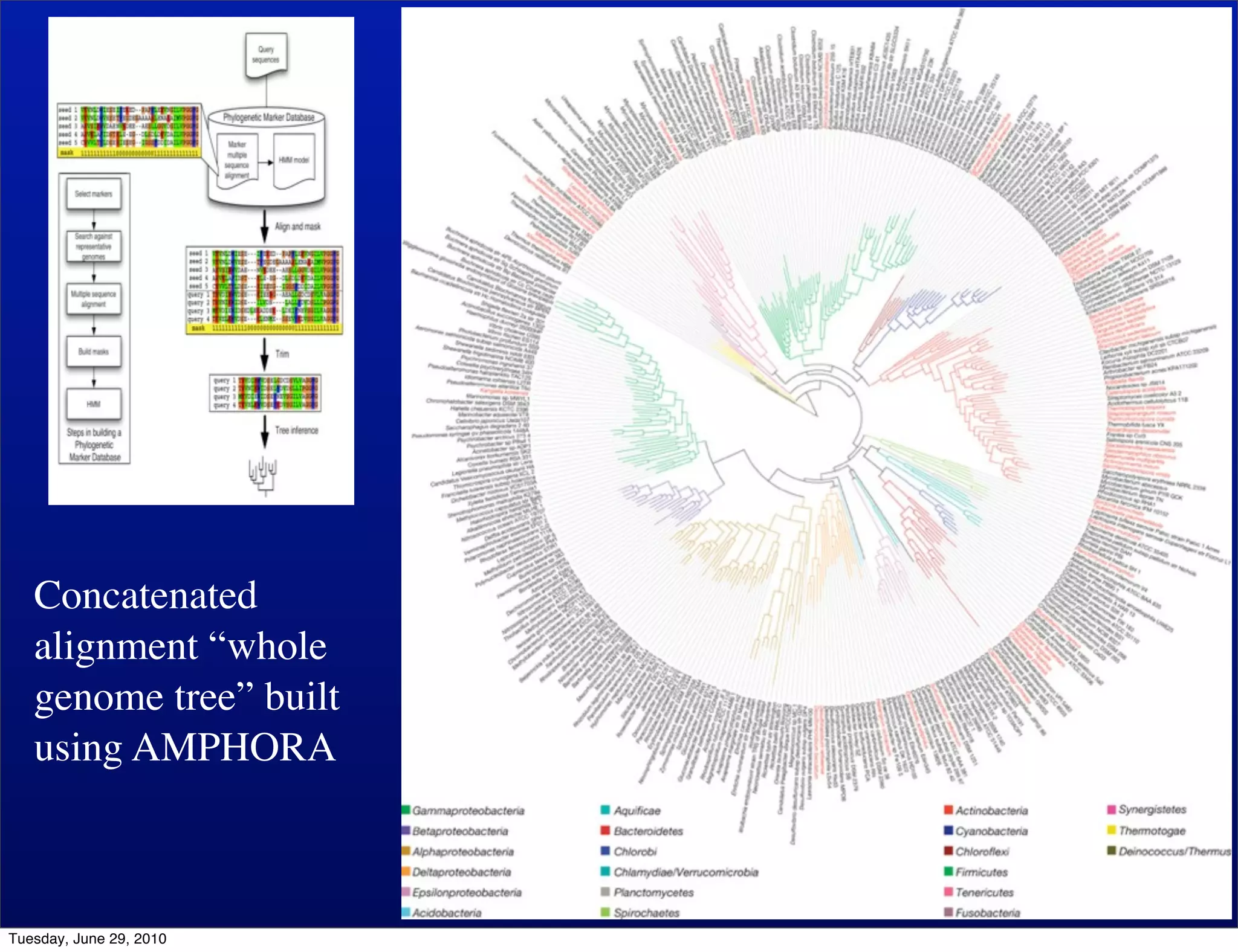 Wh




   Concatenated
   alignment “whole
   genome tree” built
   using AMPHORA



Tuesday, June 29, 2010
 