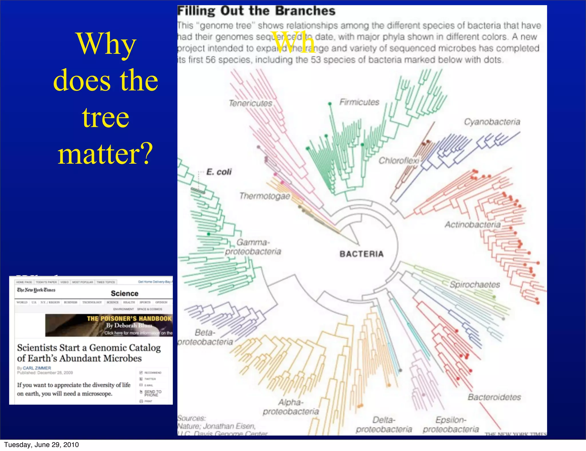 Why       Wh
              does the
                tree
              matter?


   Whole genome tree
   built using
   AMPHORA
   by Martin Wu and
   Dongying Wu


Tuesday, June 29, 2010
 