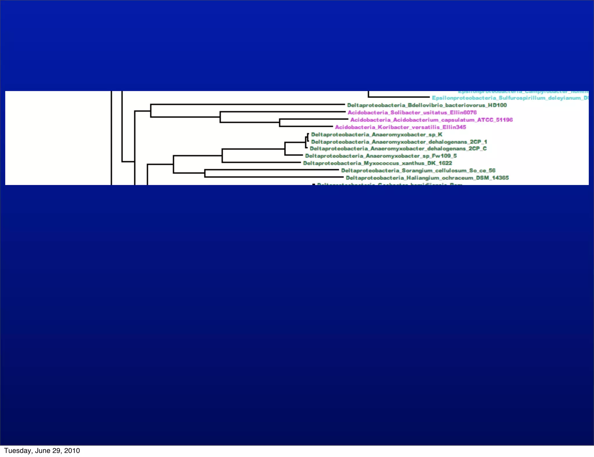 Tuesday, June 29, 2010
 