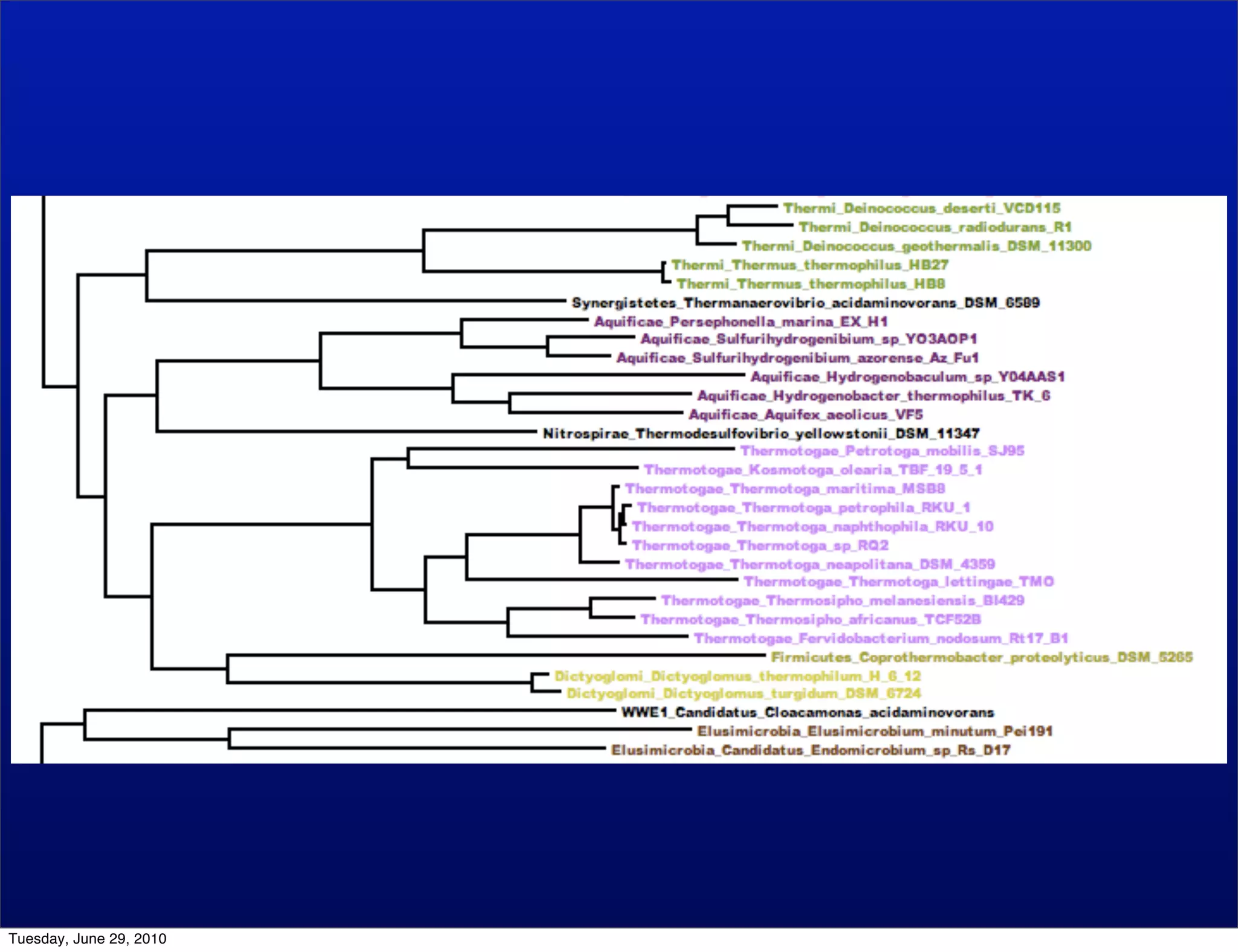 Tuesday, June 29, 2010
 