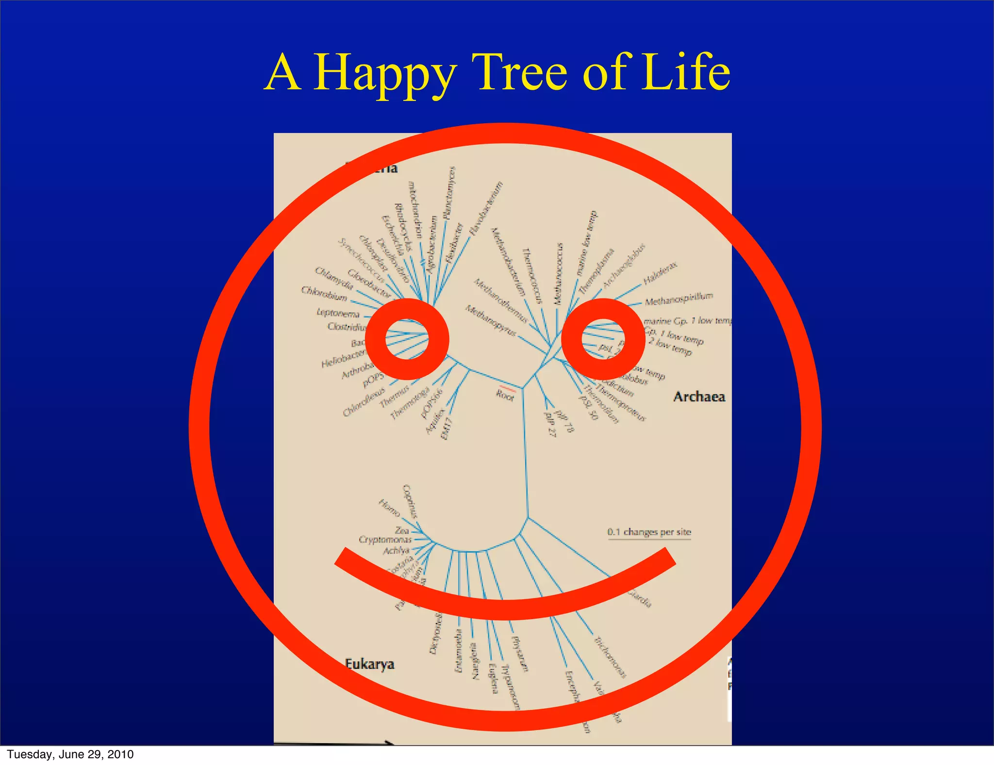 A Happy Tree of Life




Tuesday, June 29, 2010
 