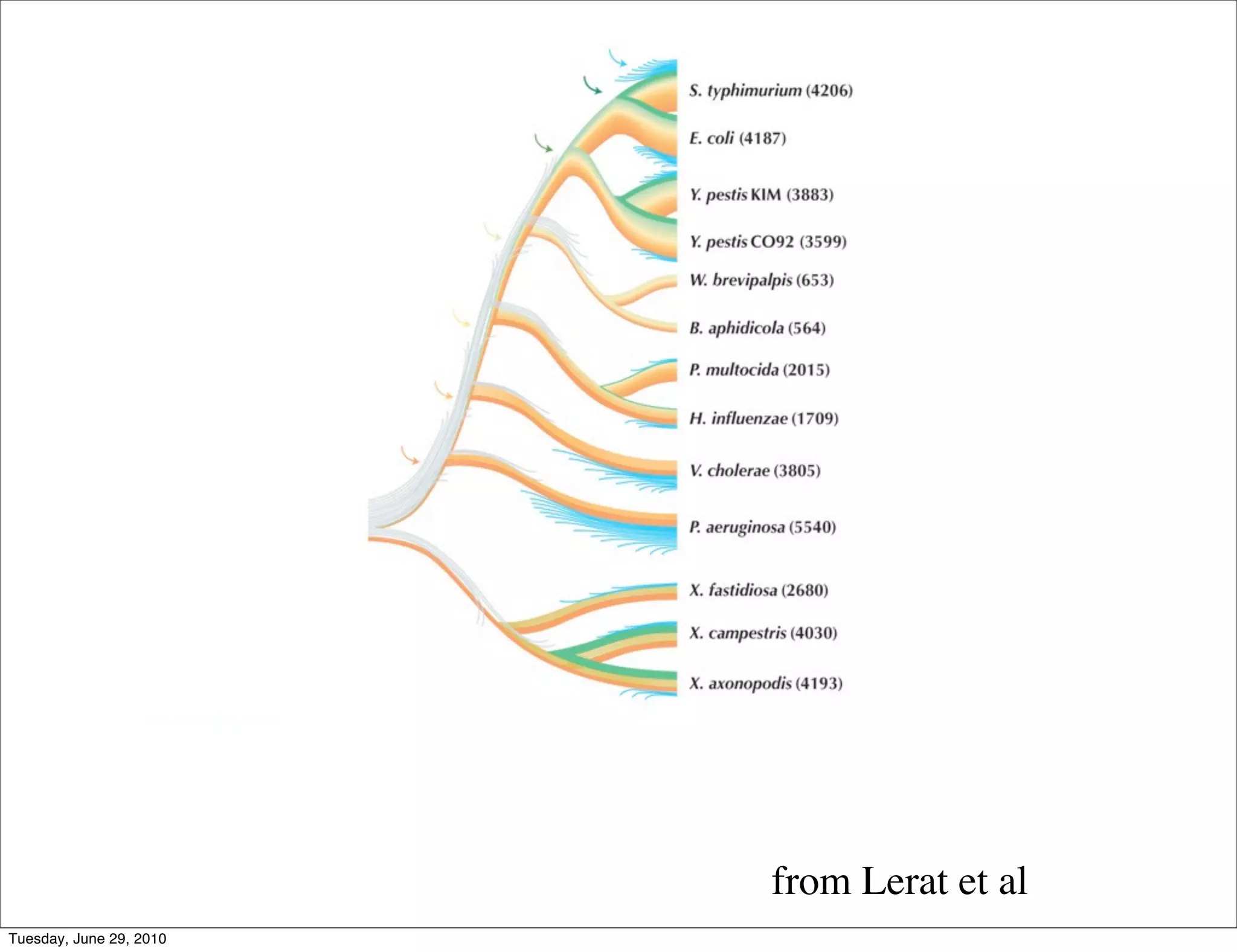 from Lerat et al
Tuesday, June 29, 2010
 