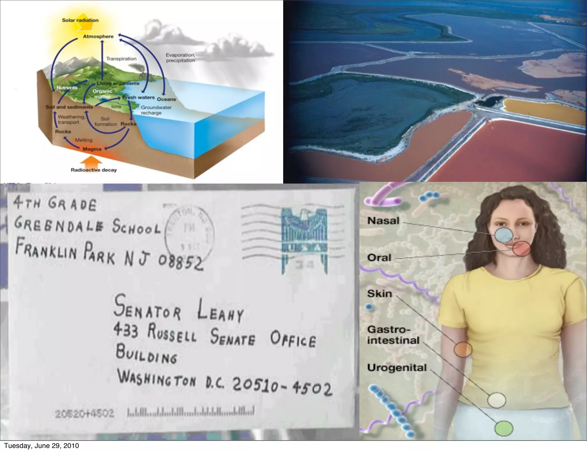 Tuesday, June 29, 2010
 