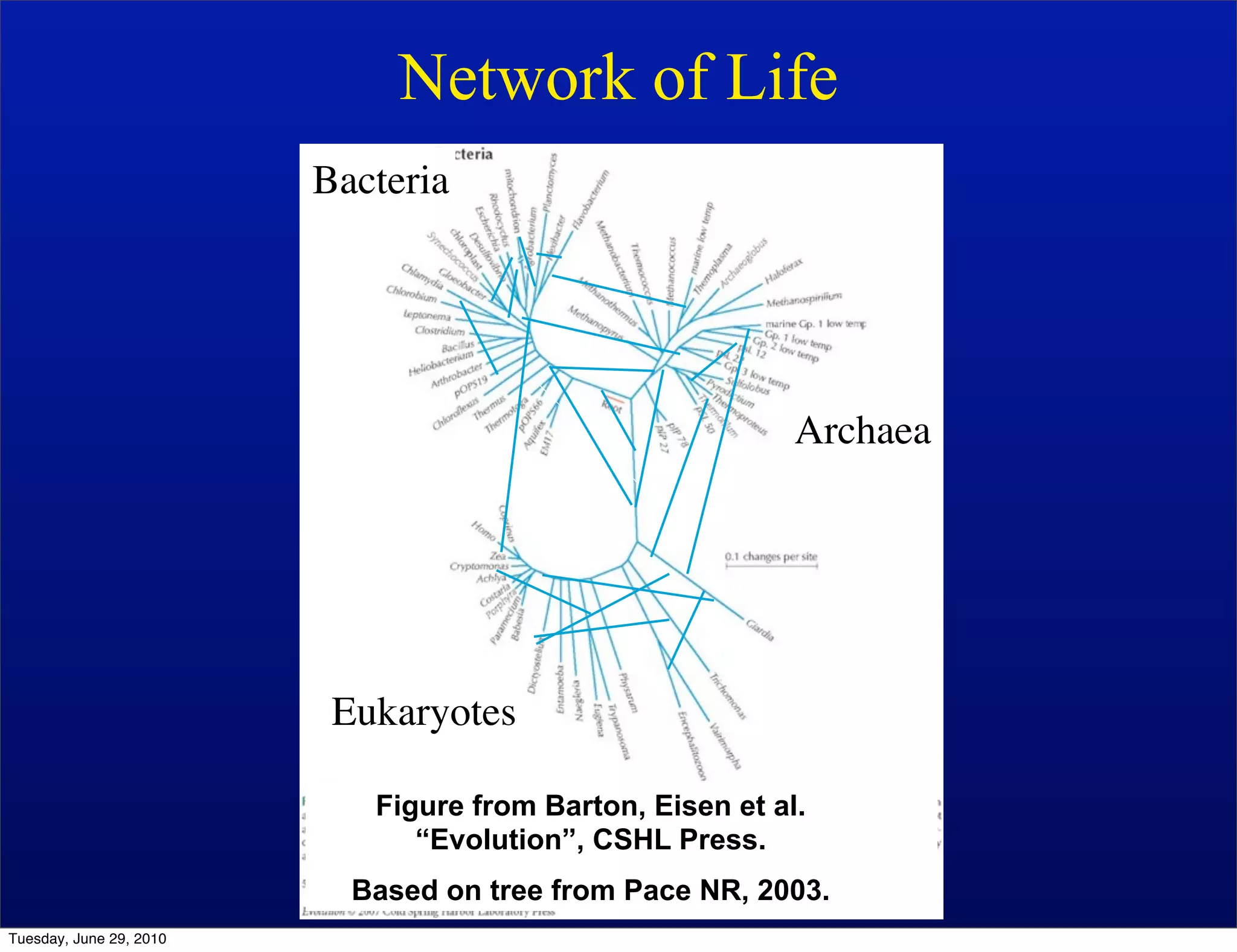 Network of Life
                         Bacteria




                                                           Archaea




                          Eukaryotes

                            Figure from Barton, Eisen et al.
                               “Evolution”, CSHL Press.
                           Based on tree from Pace NR, 2003.
Tuesday, June 29, 2010
 
