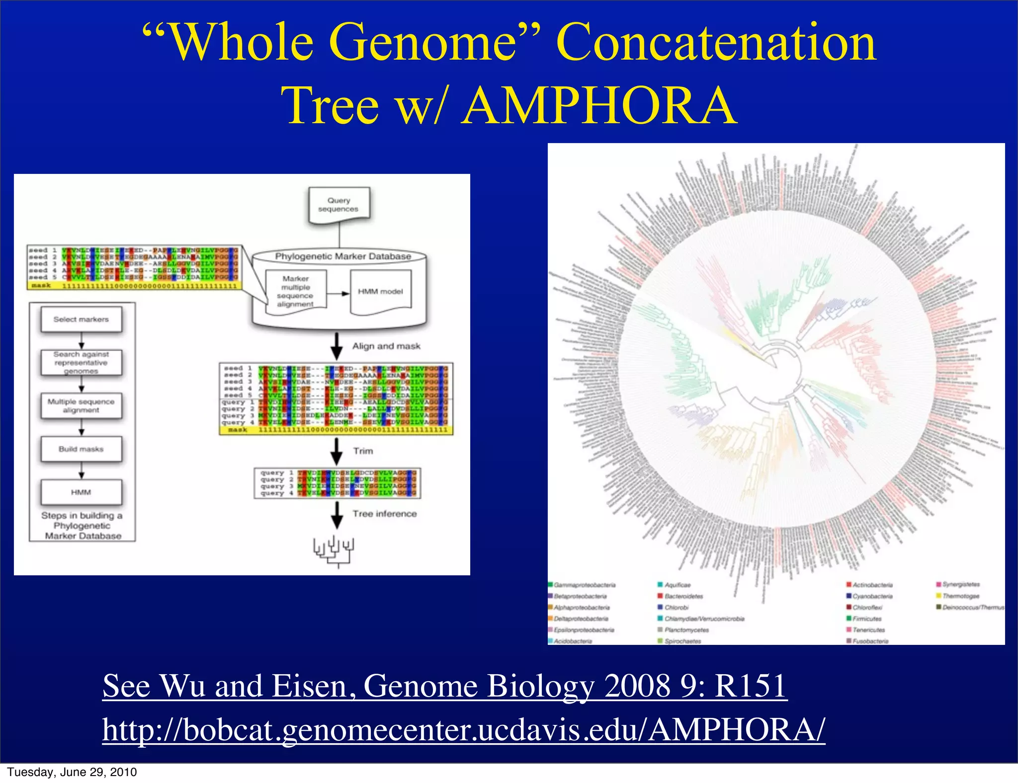 “Whole Genome” Concatenation
                             Tree w/ AMPHORA




                See Wu and Eisen, Genome Biology 2008 9: R151
                http://bobcat.genomecenter.ucdavis.edu/AMPHORA/
Tuesday, June 29, 2010
 