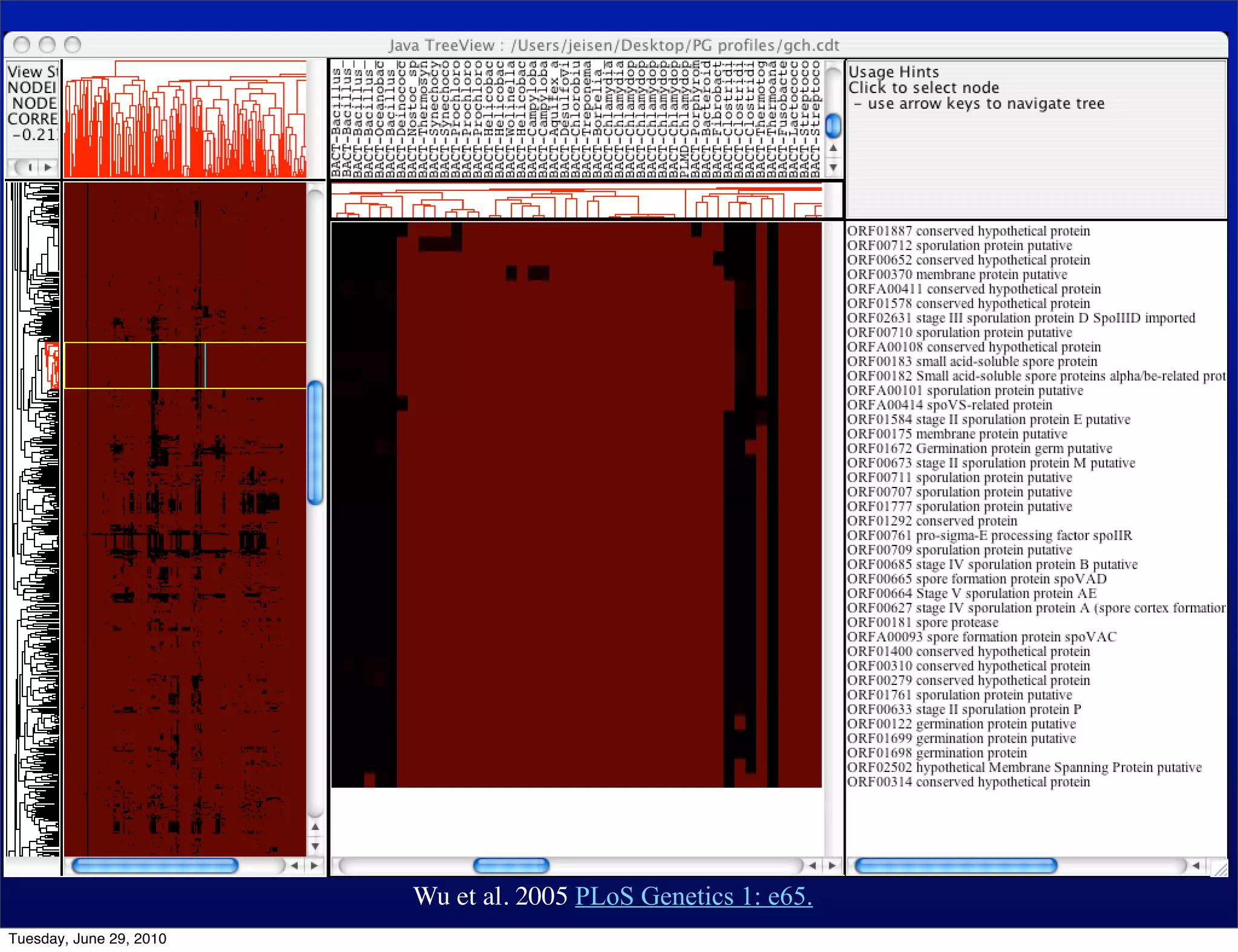 Wu et al. 2005 PLoS Genetics 1: e65.
Tuesday, June 29, 2010
 