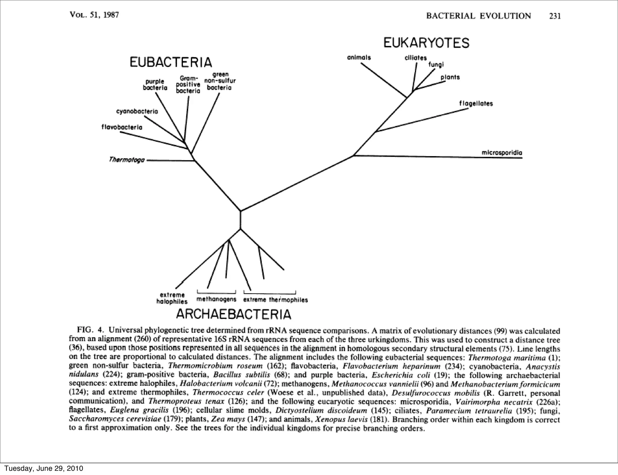 Tuesday, June 29, 2010
 