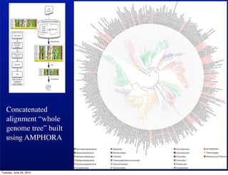 Wh




   Concatenated
   alignment “whole
   genome tree” built
   using AMPHORA



Tuesday, June 29, 2010
 