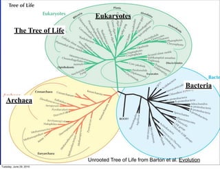 The Tree ofEukaryotes
                                     Life: Three Main
                                   Domains
         The Tree of Life




                                                                             Bacteria

   Archaea




                                  Unrooted Tree of Life from Barton et al. Evolution
Tuesday, June 29, 2010
 