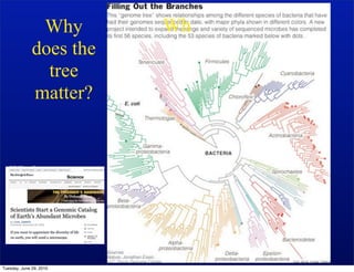 Why       Wh
              does the
                tree
              matter?


   Whole genome tree
   built using
   AMPHORA
   by Martin Wu and
   Dongying Wu


Tuesday, June 29, 2010
 
