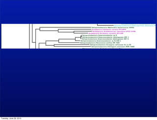 Tuesday, June 29, 2010
 