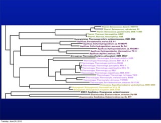 Tuesday, June 29, 2010
 