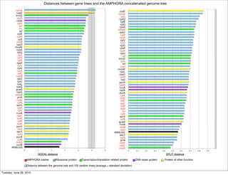 Distances between gene trees and the AMPHORA concatenated genome tree
          rpmA                                                                                          coaE
           coaE                                                                                        rpmA
          trmD                                                                                            rplL
           rpsS                                                                                         rpsQ
           radA                                                                                          rplR
            rplD                                                                                         rplQ
              tsf                                                                                       rpsH
              frr                                                                                      smpB
               ttf                                                                                      rpsO
            rplR                                                                                          rplP
            rplM                                                                                        rpsS
             rplI                                                                                        rplV
           rpsB                                                                                           rplT
           rpsO                                                                                          rplO
         mraW                                                                                            rpsP
           rpsH                                                                                         rpsK
            rplQ                                                                                         rplU
             rplL                                                                                           tsf
             rplT                                                                                      trmD
            rplE                                                                                         rplS
            rpsP                                                                                            ttf
            rplC                                                                                         rpsI
            rplV                                                                                       mraW
            rplS                                                                                         rpsL
            infC                                                                                        rpsG
           rpsM                                                                                          rplM
            rplO                                                                                           rplI
            rplU                                                                                        pyrH
            rpsL                                                                                        rpsM
           rpsQ                                                                                         ruvA
          guaA                                                                                          radA
           rpsG                                                                                         purA
          smpB                                                                                           rplK
            priA                                                                                         rplD
           rpsK                                                                                           infC
            rplK                                                                                         rplC
           serS                                                                                           rplE
            rplA                                                                                         rplA
             rplF                                                                                           frr
           ruvA                                                                                           rplF
           rpsC                                                                                         serS
            rplN                                                                                         rplN
             rplP                                                                                      guaA
           rpsE                                                                                         ruvB
           pyrH                                                                                         rpsB
            rpsI                                                                                         rpsJ
           secY                                                                                     rRNA16S
            rpsJ                                                                                        secY
           purA                                                                                          rplB
            rplB                                                                                         priA
           nusA                                                                                         rpsE
           ruvB                                                                                         rpsC
       rRNA16S                                                                                          nusA
                     0           1          2          3            4           5           6                       0   0.1    0.2     0.3   0.4       0.5   0.6    0.7    0.8   0.9

                                  NODAL distance                                                                                                   SPLIT distance

                         AMPHORA marker         Ribosomal protein       Transcription/translation related protein       DNA repair protein     Protein of other function

                         Distance between the genome tree and 100 random trees (average ± standard deviation)

Tuesday, June 29, 2010
 