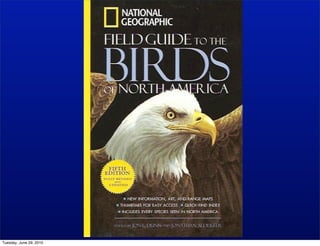 Tuesday, June 29, 2010
 