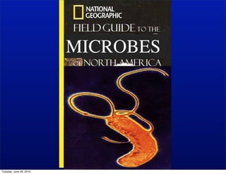 MICROBES




Tuesday, June 29, 2010
 