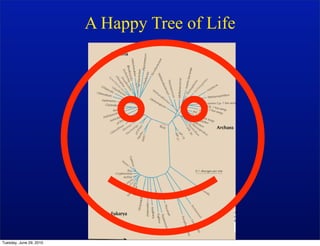 A Happy Tree of Life




Tuesday, June 29, 2010
 
