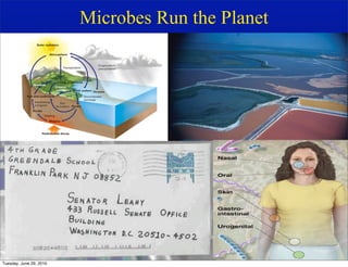 Microbes Run the Planet




Tuesday, June 29, 2010
 