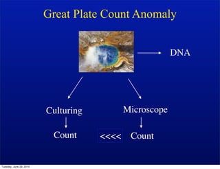 Great Plate Count Anomaly


                                                         DNA




                         Culturing          Microscope

                          Count      <<<<    Count


Tuesday, June 29, 2010
 