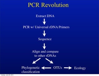 PCR Revolution
                                   Extract DNA


                          PCR w/ Universal rDNA Primers


                                    Sequence


                                Align and compare
                                 to other rDNAs


                         Phylogenetic          OTUs       Ecology
                         classiﬁcation
Tuesday, June 29, 2010
 