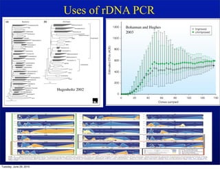 Uses of rDNA PCR
                                           Bohannan and Hughes
                                           2003




                         Hugenholtz 2002




Tuesday, June 29, 2010
 
