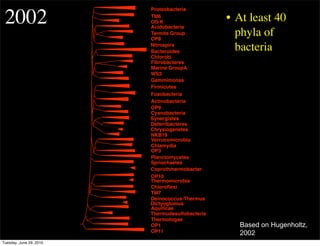 Proteobacteria

 2002                    TM6
                         OS-K
                         Acidobacteria
                                                 • At least 40
                         Termite Group
                         OP8
                                                   phyla of
                         Nitrospira
                         Bacteroides
                                                   bacteria
                         Chlorobi
                         Fibrobacteres
                         Marine GroupA
                         WS3
                         Gemmimonas
                         Firmicutes
                         Fusobacteria
                         Actinobacteria
                         OP9
                         Cyanobacteria
                         Synergistes
                         Deferribacteres
                         Chrysiogenetes
                         NKB19
                         Verrucomicrobia
                         Chlamydia
                         OP3
                         Planctomycetes
                         Spriochaetes
                         Coprothmermobacter
                         OP10
                         Thermomicrobia
                         Chloroﬂexi
                         TM7
                         Deinococcus-Thermus
                         Dictyoglomus
                         Aquiﬁcae
                         Thermudesulfobacteria
                         Thermotogae
                         OP1                       Based on Hugenholtz,
                         OP11                      2002
Tuesday, June 29, 2010
 