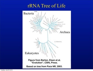 rRNA Tree of Life
                         Bacteria




                                                           Archaea




                          Eukaryotes

                            FIgure from Barton, Eisen et al.
                               “Evolution”, CSHL Press.
                           Based on tree from Pace NR, 2003.
Tuesday, June 29, 2010
 