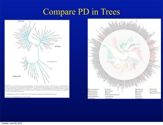 Compare PD in Trees




Tuesday, June 29, 2010
 