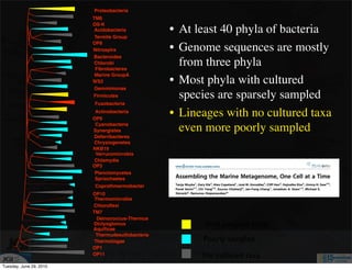 Proteobacteria
                         TM6
                         OS-K
                          Acidobacteria
                          Termite Group
                                                  • At least 40 phyla of bacteria
                         OP8
                         Nitrospira               • Genome sequences are mostly
                         Bacteroides
                          Chlorobi
                          Fibrobacteres
                                                    from three phyla
                          Marine GroupA
                         WS3                      • Most phyla with cultured
                          Gemmimonas
                         Firmicutes                 species are sparsely sampled
                         Fusobacteria
                          Actinobacteria
                         OP9
                                                  • Lineages with no cultured taxa
                          Cyanobacteria
                         Synergistes                even more poorly sampled
                         Deferribacteres
                         Chrysiogenetes
                         NKB19
                          Verrucomicrobia
                         Chlamydia
                         OP3
                          Planctomycetes
                          Spriochaetes
                         Coprothmermobacter
                         OP10
                          Thermomicrobia
                         Chloroﬂexi
                         TM7
                           Deinococcus-Thermus
                         Dictyoglomus
                         Aquiﬁcae
                                                        Well sampled phyla
                          Thermudesulfobacteria
                          Thermotogae                   Poorly sampled
                         OP1
                         OP11                           No cultured taxa
Tuesday, June 29, 2010
 