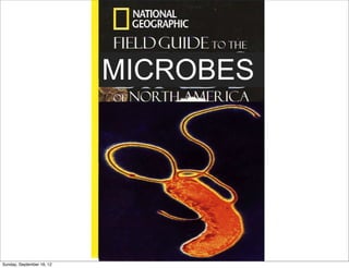MICROBES




Sunday, September 16, 12
 