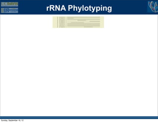 rRNA Phylotyping




Sunday, September 16, 12
 