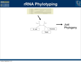rRNA Phylotyping




                                                          Just
                               E. coli           Humans
                                                          Phylogeny
                                         Yeast




Sunday, September 16, 12
 