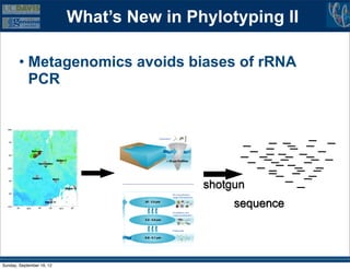 What’s New in Phylotyping II

        • Metagenomics avoids biases of rRNA
          PCR




                                           shotgun
                                                sequence




Sunday, September 16, 12
 