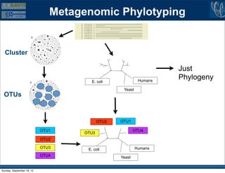 Metagenomic Phylotyping
                                  B
                      A




  Cluster                         C




                                                                       Just
                                  B      E. coli              Humans
                                                                       Phylogeny
                     A

                                                     Yeast
 OTUs                             C




                                             OTU2   OTU1

                           OTU1                             OTU4
                                      OTU3
                           OTU2

                           OTU3        E. coli               Humans
                           OTU4                     Yeast


Sunday, September 16, 12
 