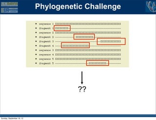 Phylogenetic Challenge




                                     ??


Sunday, September 16, 12
 