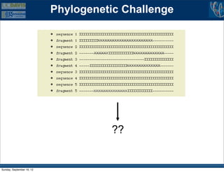 Phylogenetic Challenge

                                   xxxxxxxxxxxxxxxxxxxxxxx

                                  xxxxxx           xxxxxxxxxxxxx

                                                xxxxxxxxxxxxxx




                                  xxxxxxxxxxxxxx




                                           ??


Sunday, September 16, 12
 
