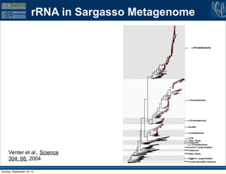 rRNA in Sargasso Metagenome




     Venter et al., Science
     304: 66. 2004

Sunday, September 16, 12
 
