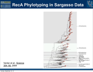 RecA Phylotyping in Sargasso Data




     Venter et al., Science
     304: 66. 2004

Sunday, September 16, 12
 