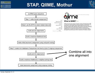 STAP, QIIME, Mothur           ss-rRNA Taxonomy Pip




                                                              Combine all into
                                                              one alignment



               Figure 1. A flow chart of the STAP pipeline.
               doi:10.1371/journal.pone.0002566.g001
Sunday, September 16, 12
 