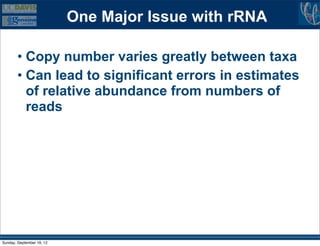 One Major Issue with rRNA

        • Copy number varies greatly between taxa
        • Can lead to significant errors in estimates
          of relative abundance from numbers of
          reads




Sunday, September 16, 12
 