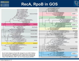 RecA, RpoB in GOS

                                                                        GOS 1

                                                                        GOS 2




                                                                        GOS 3

                                                                        GOS 4




   Wu D, Wu M, Halpern A, Rusch DB, Yooseph S, et al. (2011) Stalking
   the Fourth Domain in Metagenomic Data: Searching for, Discovering,
                                                                        GOS 5
   and Interpreting Novel, Deep Branches in Marker Gene Phylogenetic
   Trees. PLoS ONE 6(3): e18011. doi:10.1371/journal.pone.0018011


Sunday, September 16, 12
 