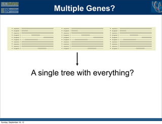 Multiple Genes?




                           A single tree with everything?




Sunday, September 16, 12
 